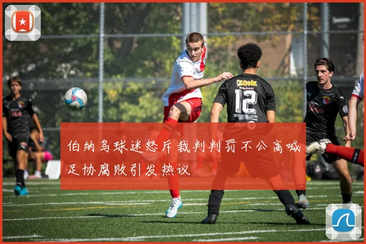 伯纳乌球迷怒斥裁判判罚不公高喊足协腐败引发热议
