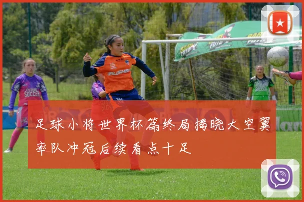 足球小将世界杯篇终局揭晓大空翼率队冲冠后续看点十足